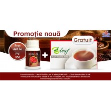 Reishi Gold + Oleaf Gano Rooibos Drink GRATUIT Promo