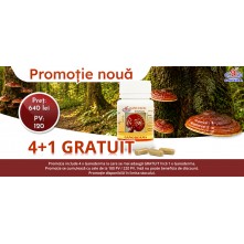 Ganoderma 4 + 1 GRATUIT Promo