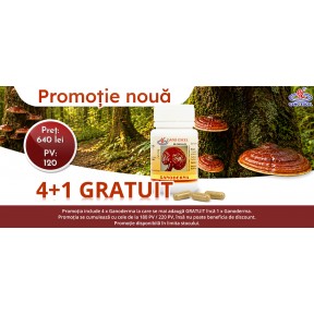 Ganoderma 4 + 1 GRATUIT Promo