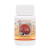 Ganoderma